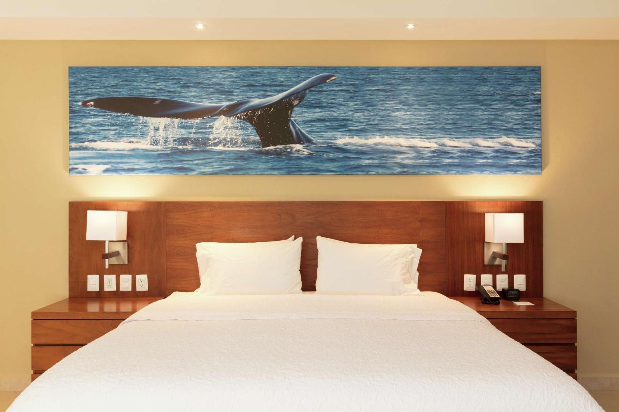 Hampton Inn & Suites By Hilton Los Cabos San Jose del Cabo Exterior photo